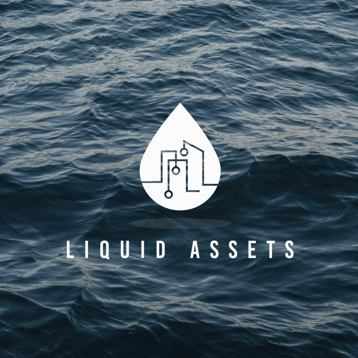 What is LiquidAssets?